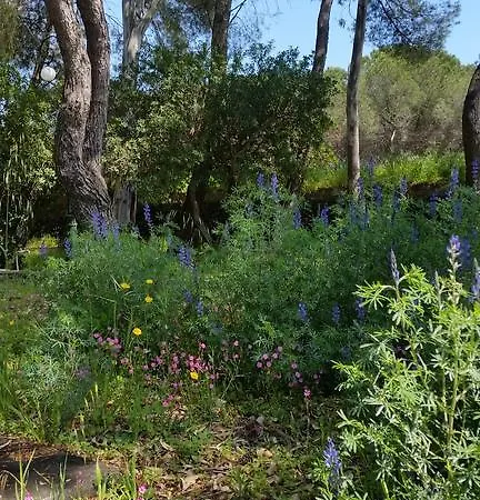 Morgante Bed & Breakfast Pedara