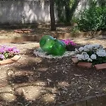 Morgante פדארה