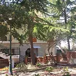 Morgante פדארה