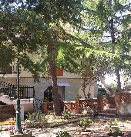 Morgante بيدارا